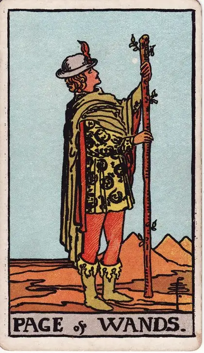 Page of Wands in the Rider-Waite-Smith tarot deck